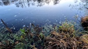 Ловля ЩУКИ на ДЖЕРКИ.Малая река.