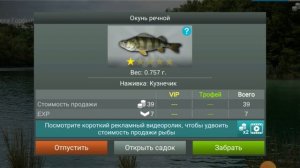 Рыбалка на окуня в игре My Fishing World