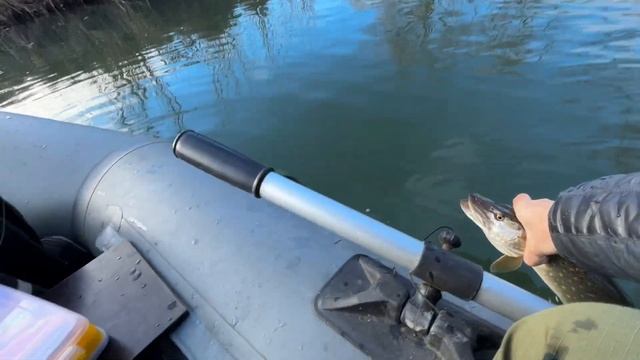 Щука на спиннинг на малой реке! Рыбалка с лодки. Обидны смотреть онлайн