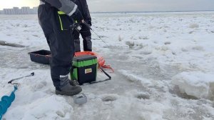 Судак зимой в Санкт-Петербурге.
