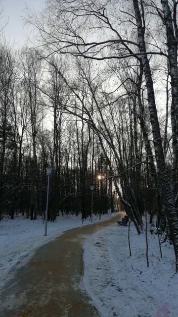 Бежать в лесу #стихи ©Ist_dk смотреть онлайн