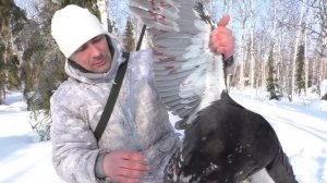 ОХОТА НА ГЛУХАРЯ С МЕЛКАШКОЙ / ВОТ КАК БЫВАЕТ ПРОМАХ ИЗ