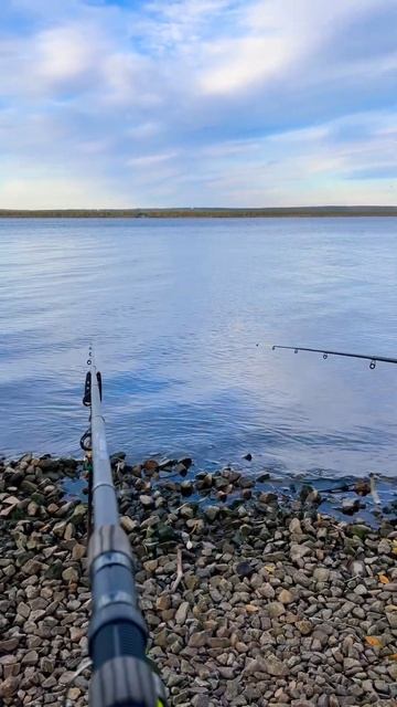 Рыбалка на море смотреть онлайн