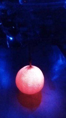 Сердце дракона! Сделай это в новый год и год дракона удастся! )