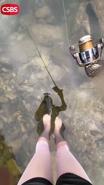 Новая наживка для рыбалки #новости #юмор #приколы смотреть онлайн