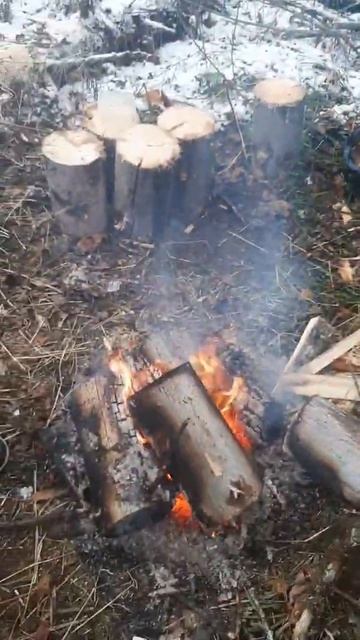 Первый снег на рыбалке