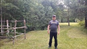 Как сделать подкормку сосны сибирской кедровой или си