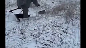 ПРИКОЛ ! охота на зайца