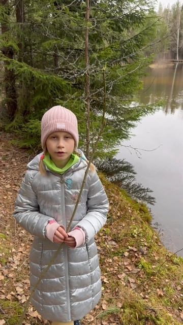 Замор рыбы в лесном озере. смотреть онлайн