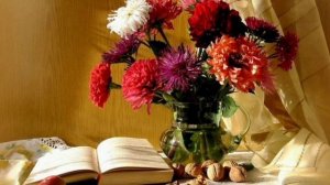 Романс " Астры ".