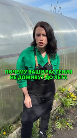 Почему ваши растения не доживут до лета