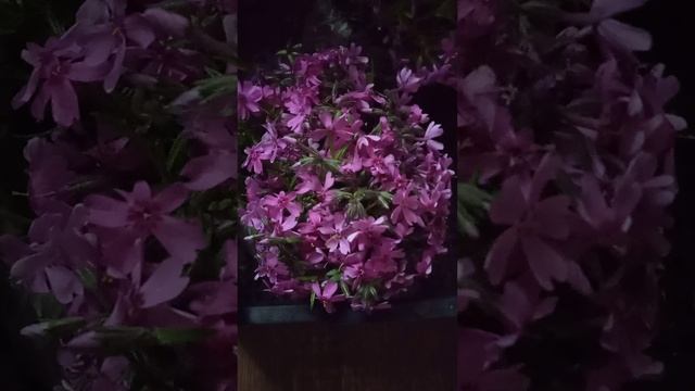 Как можно заработать на излишках