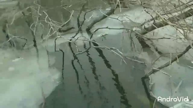 11 июня 2024 г. смотреть онлайн