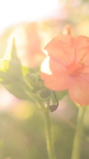 Библия самая точная книга во вселенной,т. к. Слово Божи смотреть онлайн