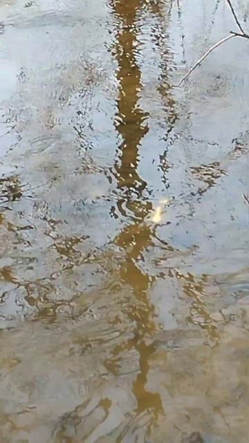 Конец февраля. Микроречка. Голавль #рыбалка #тула #fishing смотреть онлайн