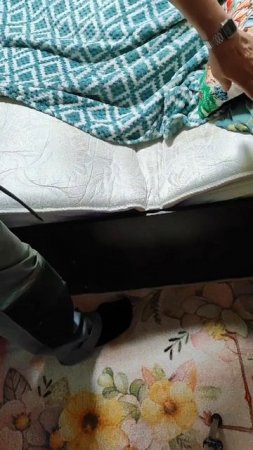Попрыгунья