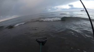 37 день.Напрасная рыбалка с берега  в Черногории.