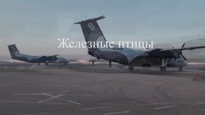 Железные птицы