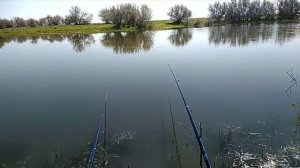 Ловля подлещика на поплавочную удочку. с Берега .