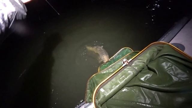 РЫБАЛКА МЕЧТА 🤩!!!! ЖОР КРУПНЯКА  - САЗАНЫ, ЛЕЩИ ПРОСТО ? смотреть онлайн