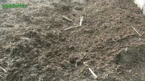 Биогумус, как  можно начать производить у себя дома