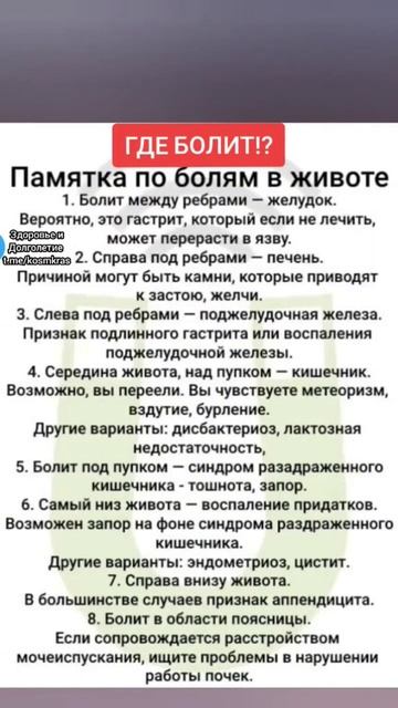 памятка по болям в животе #народнаямедицина #зож #здоровье #народныерецепты смотреть онлайн
