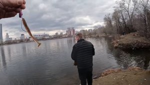 Рыбалка в Екатеринбурге. Исеть 2025. Первый выход, без ры
