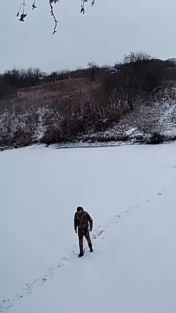 Первый лед #fishing #carp #рыбалка #carplife #carpfishinglife #carps смотреть онлайн