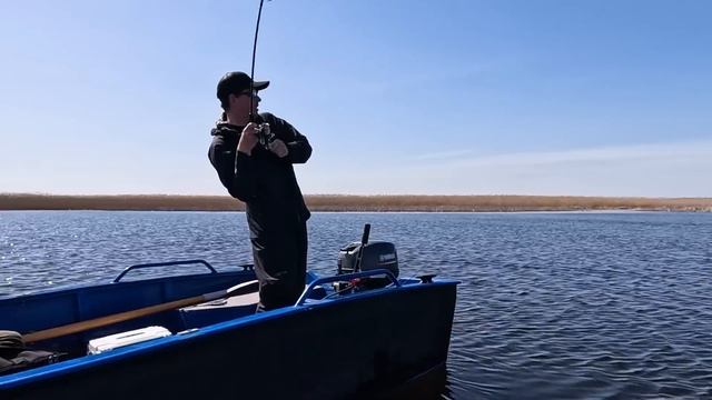 СПИННИНГ ДЛЯ ВОБЛЕРОВ x DAIWA TOURNAMENT TNT76MFS смотреть онлайн