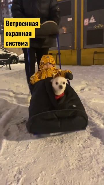 Санки - универсальный транспорт🔥🔥🔥 #семья #дети #со? смотреть онлайн