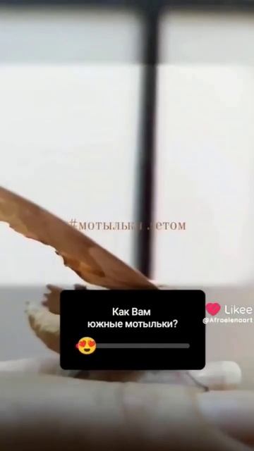 #мотыли #мотыль #мотылек#мотылекчеленж #бабочки #бабоч? смотреть онлайн