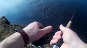 Ловля жереха (шелеспёр) на блесну Kastmaster.