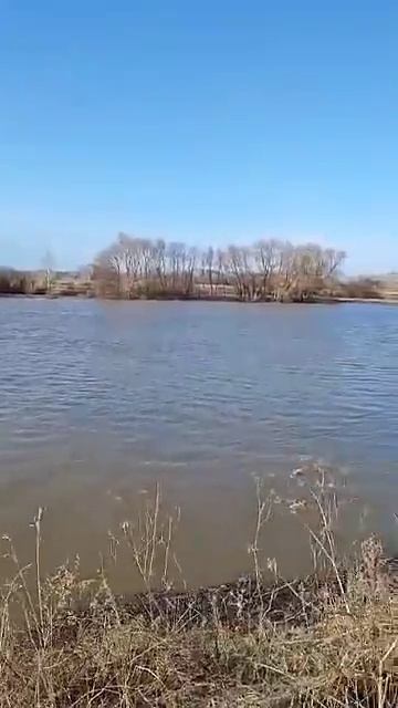 Уровень Ишима на в Петропавловске 8 апреля 2025 года смотреть онлайн