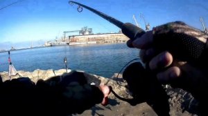 Морская рыбалка в Севастополе. Ловим кефаль в январе.