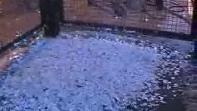 Satrind 3 R в листовая бумага смотреть онлайн