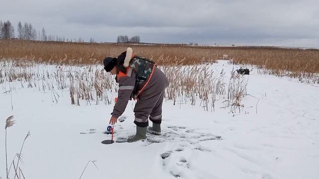 💥зимняя рыбалка жерлицами и не только🚩клевало вчер? смотреть онлайн