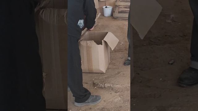 Акустическая граната #shorts #юмор смотреть онлайн