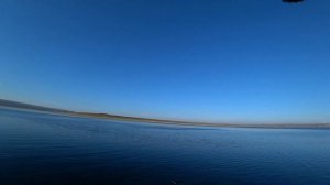 Водохранилище реки Прут Подлещики Густера и Рыбец. 3 С?