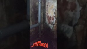 Монтаж канализации в подвале общежития.
