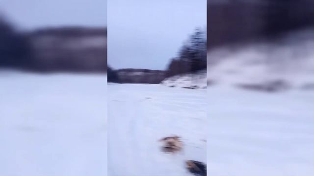 Зимняя Рыбалка! #налим#рыбалка смотреть онлайн