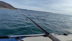 Рыбалка в Чёрном море 12.01.2025