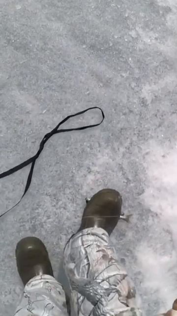 Ловим хариуса на Байкале #шорст #друзья #nature #отдых #бур смотреть онлайн