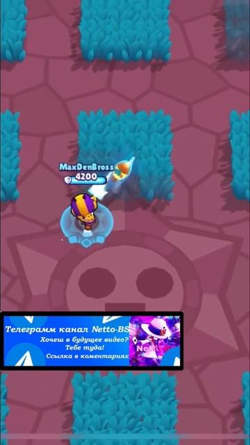 Ели хватило места на видео! #brawlstars #бравлстарс смотреть онлайн