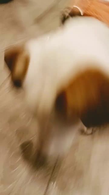 Борец🤣 смотреть онлайн