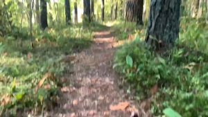 «Зарница». Кадетский лагерь им. А. Маресьева.