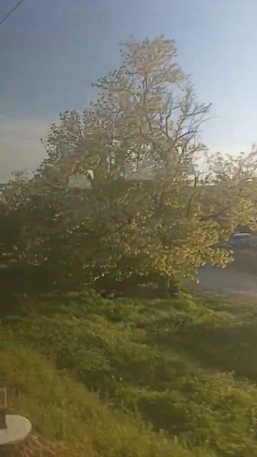 Один из показателей уровня жизни в Крыму. Электрички т смотреть онлайн