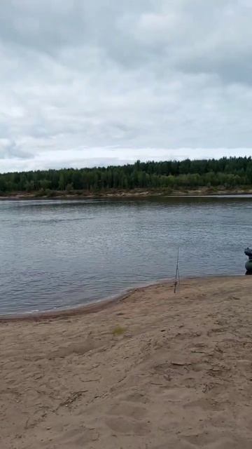 рыбалка на Вычегде республики Коми смотреть онлайн