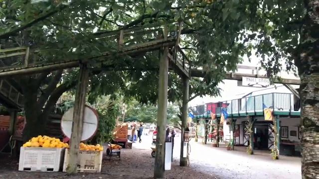 Яблочная ферма. Осень 2018 смотреть онлайн