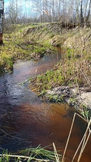 Не только в Астраханской области, красивые места. Моск смотреть онлайн