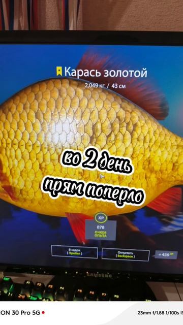 #рр4 #rr4 #рыба #русскаярыбалка4 #fishing #рыбалка #топ #карпфи смотреть онлайн